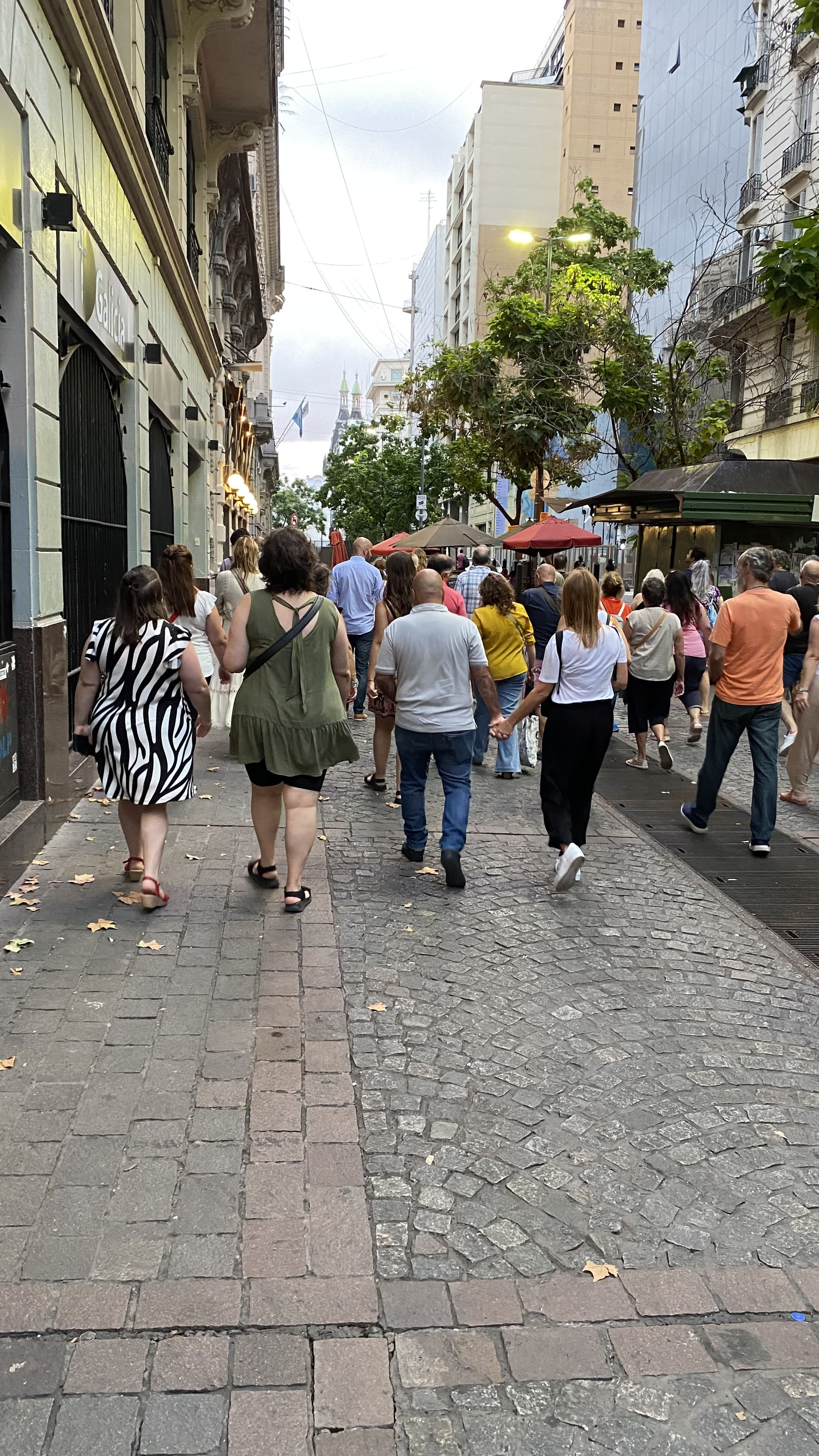 Tour por casco histórico y Plaza de Mayo